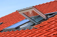 Inmarsh roof window