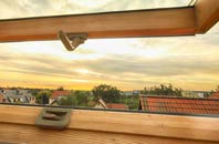rated Inmarsh roof window companies